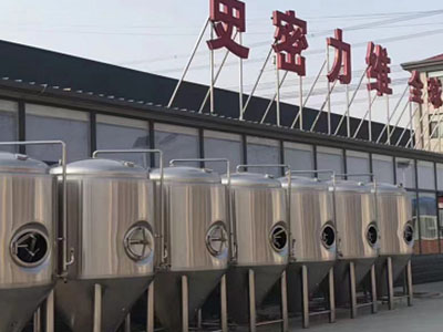 张家界精酿啤酒设备厂—如何判断精酿啤酒设备的密封件需要更换？